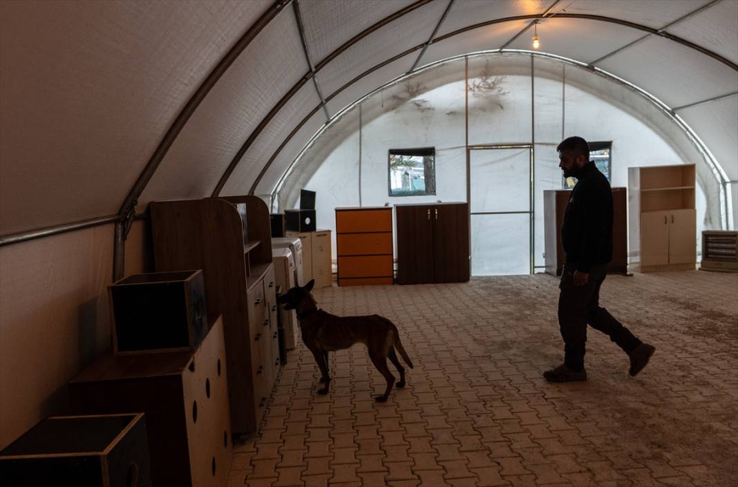 Özel eğitimli köpekler yeraltındaki su kaçaklarını tespit edecek 6